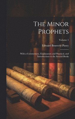 bokomslag The Minor Prophets