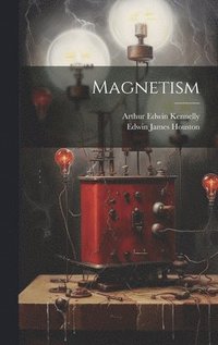 bokomslag Magnetism