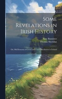 bokomslag Some Revelations in Irish History