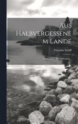 bokomslag Aus Halbvergessenem Lande