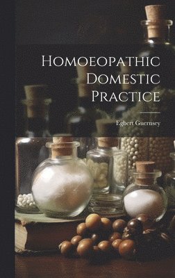 bokomslag Homoeopathic Domestic Practice