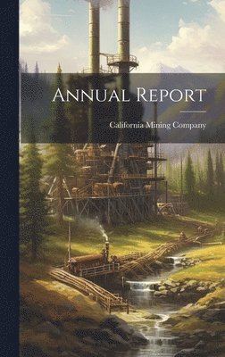 bokomslag Annual Report