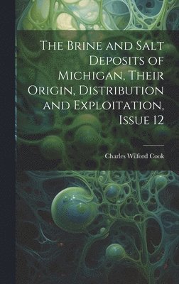 bokomslag The Brine and Salt Deposits of Michigan, Their Origin, Distribution and Exploitation, Issue 12