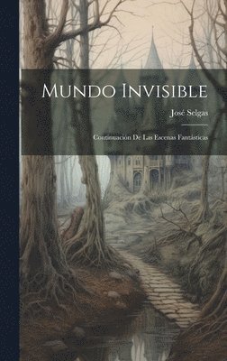 Mundo Invisible 1