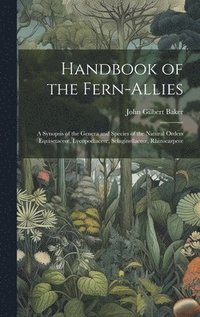 bokomslag Handbook of the Fern-Allies