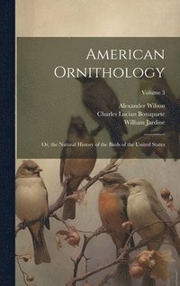 bokomslag American Ornithology; Or, the Natural History of the Birds of the United States; Volume 3