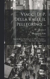 bokomslag Viaggi Di P. Della Valle Il Pellegrino, ...