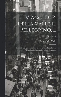 Viaggi Di P. Della Valle Il Pellegrino, ... 1