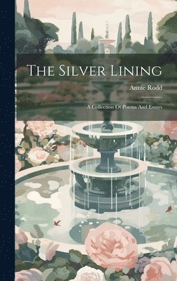 bokomslag Silver Lining