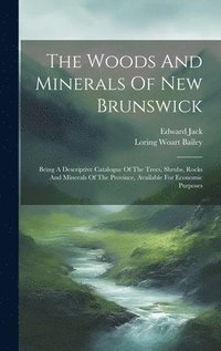 bokomslag Woods And Minerals Of New Brunswick