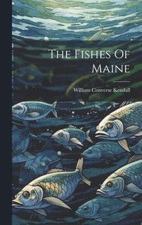 bokomslag The Fishes Of Maine