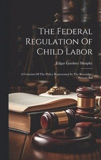 bokomslag The Federal Regulation Of Child Labor