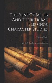 bokomslag The Sons Of Jacob And Their Tribal Blessings Character Studies