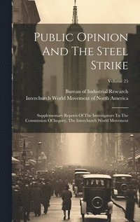 bokomslag Public Opinion And The Steel Strike