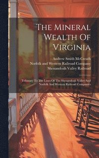 bokomslag The Mineral Wealth Of Virginia