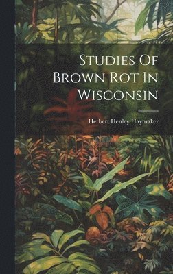 bokomslag Studies Of Brown Rot In Wisconsin