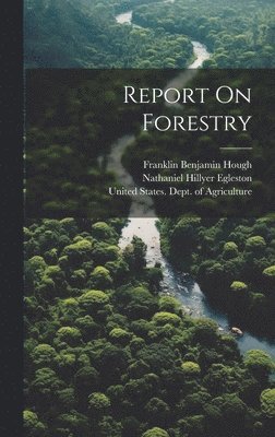 Report On Forestry 1