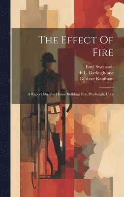 bokomslag Effect Of Fire