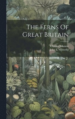 bokomslag Ferns Of Great Britain