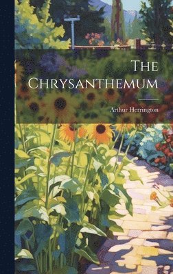 The Chrysanthemum 1