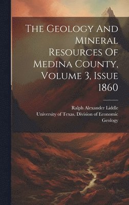 bokomslag The Geology And Mineral Resources Of Medina County, Volume 3, Issue 1860