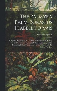 bokomslag The Palmyra Palm, Borassus Flabelliformis
