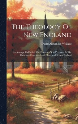 bokomslag Theology Of New England