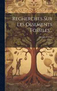bokomslag Recherches Sur Les Ossements Fossiles...