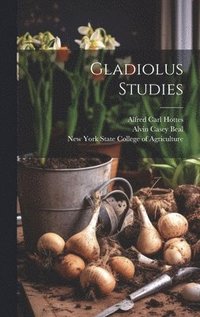 bokomslag Gladiolus Studies