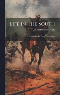 bokomslag Life In The South