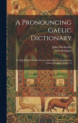 bokomslag A Pronouncing Gaelic Dictionary