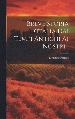 Ermanno Ferrero - Breve Storia D'italia Dai Tempi Antichi Ai Nostri..., Inbunden