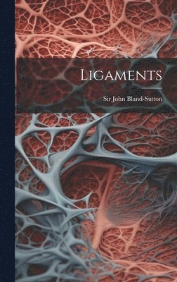 Ligaments 1