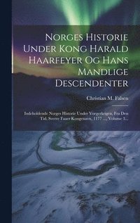 bokomslag Norges Historie Under Kong Harald Haarfeyer Og Hans Mandlige Descendenter