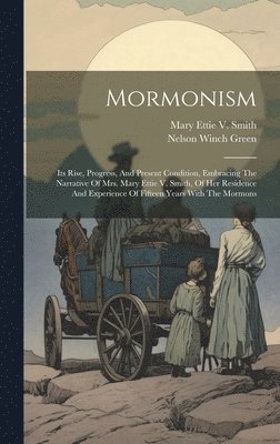 bokomslag Mormonism