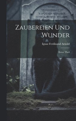 bokomslag Zaubereien und Wunder