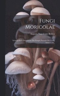 bokomslag Fungi Moricolae