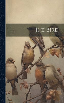 bokomslag Bird