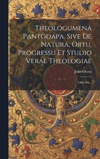 bokomslag Theologumena Pantodapa, Sive De Natura, Ortu, Progressu Et Studio Verae Theologiae