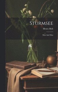 bokomslag Sturmsee