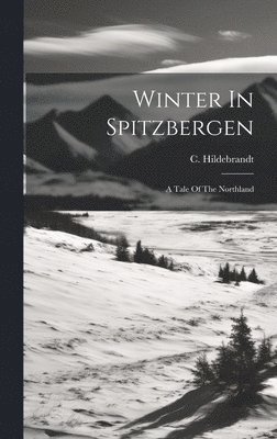 Winter In Spitzbergen 1