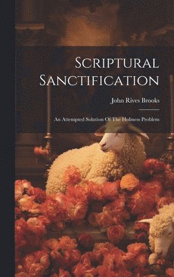 bokomslag Scriptural Sanctification