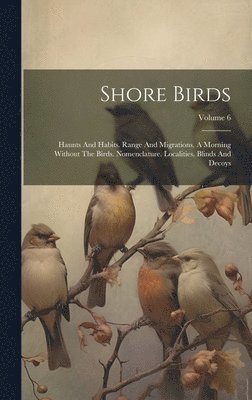 Shore Birds 1