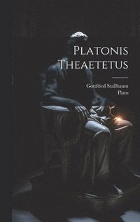 bokomslag Platonis Theaetetus