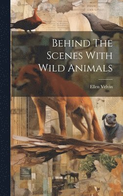 Behind The Scenes With Wild Animals 1