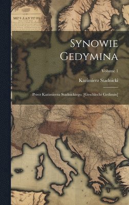 bokomslag Synowie Gedymina