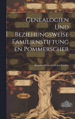 bokomslag Genealogien Und Beziehungsweise Familienstiftungen Pommerscher