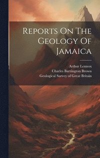 bokomslag Reports On The Geology Of Jamaica