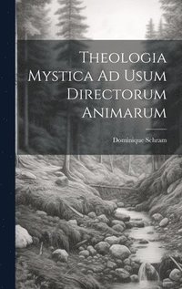 bokomslag Theologia Mystica Ad Usum Directorum Animarum