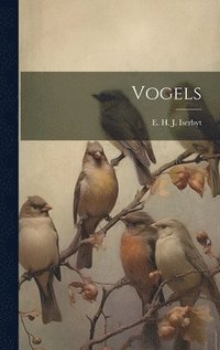 bokomslag Vogels